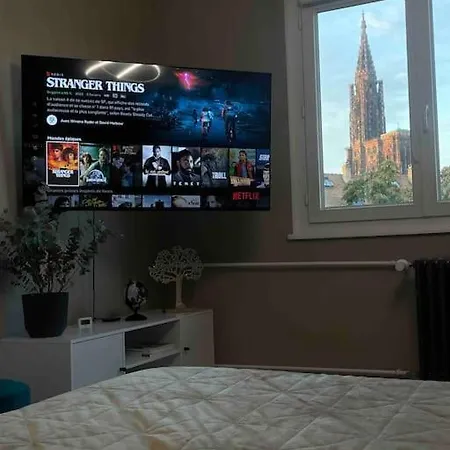Apartment Hyper Centre Vue Cathedrale Strasbourg