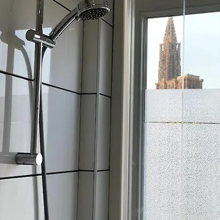 Apartment Hyper Centre Vue Cathedrale Strasbourg